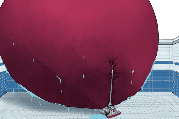 After vacuuming the whole (vacuole) pool, the vacuum cleaner bag was a huge bubble of water